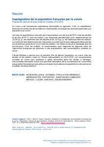 ESTEBAN-CUIVRE - Vignette Page 2