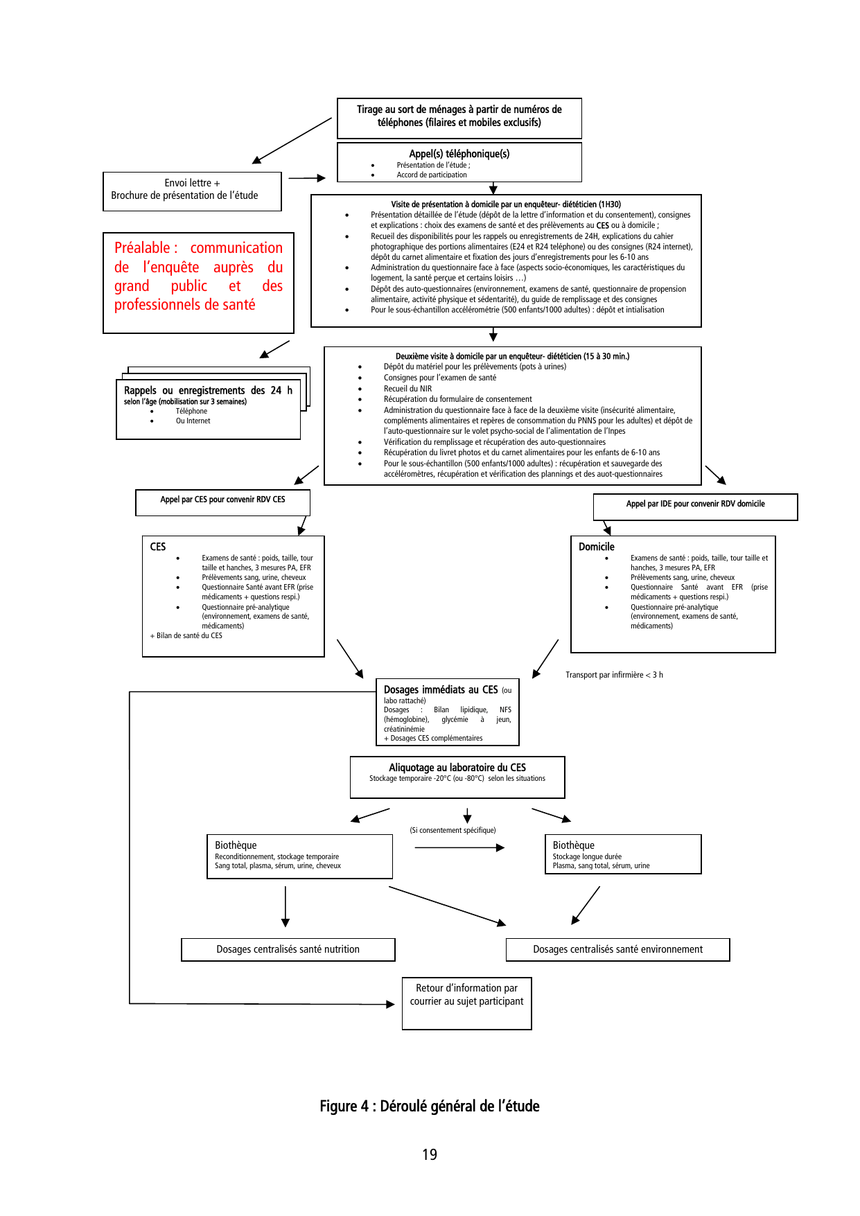 ESTEBAN-PROTOCOLE - Page 19