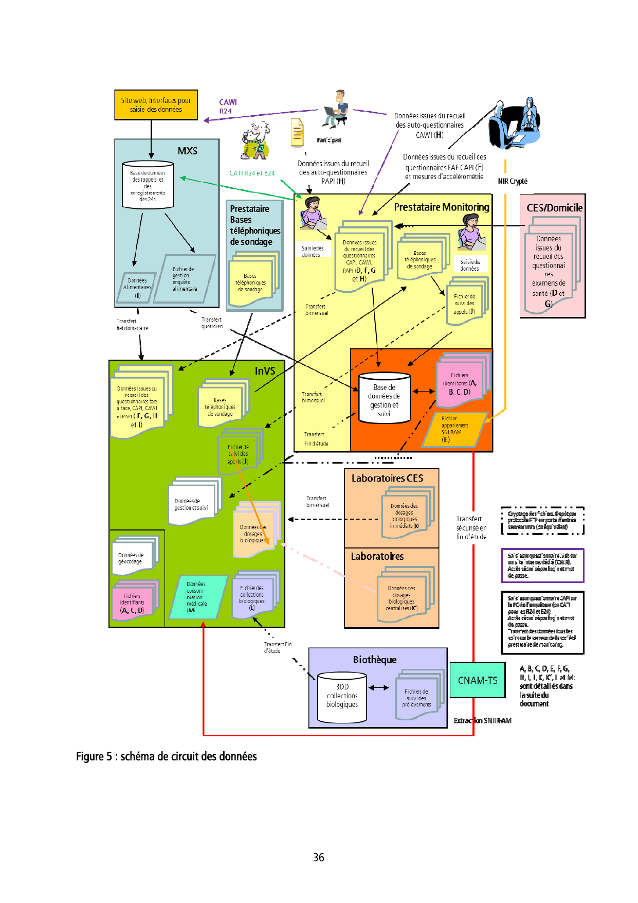 ESTEBAN-PROTOCOLE - Page 36
