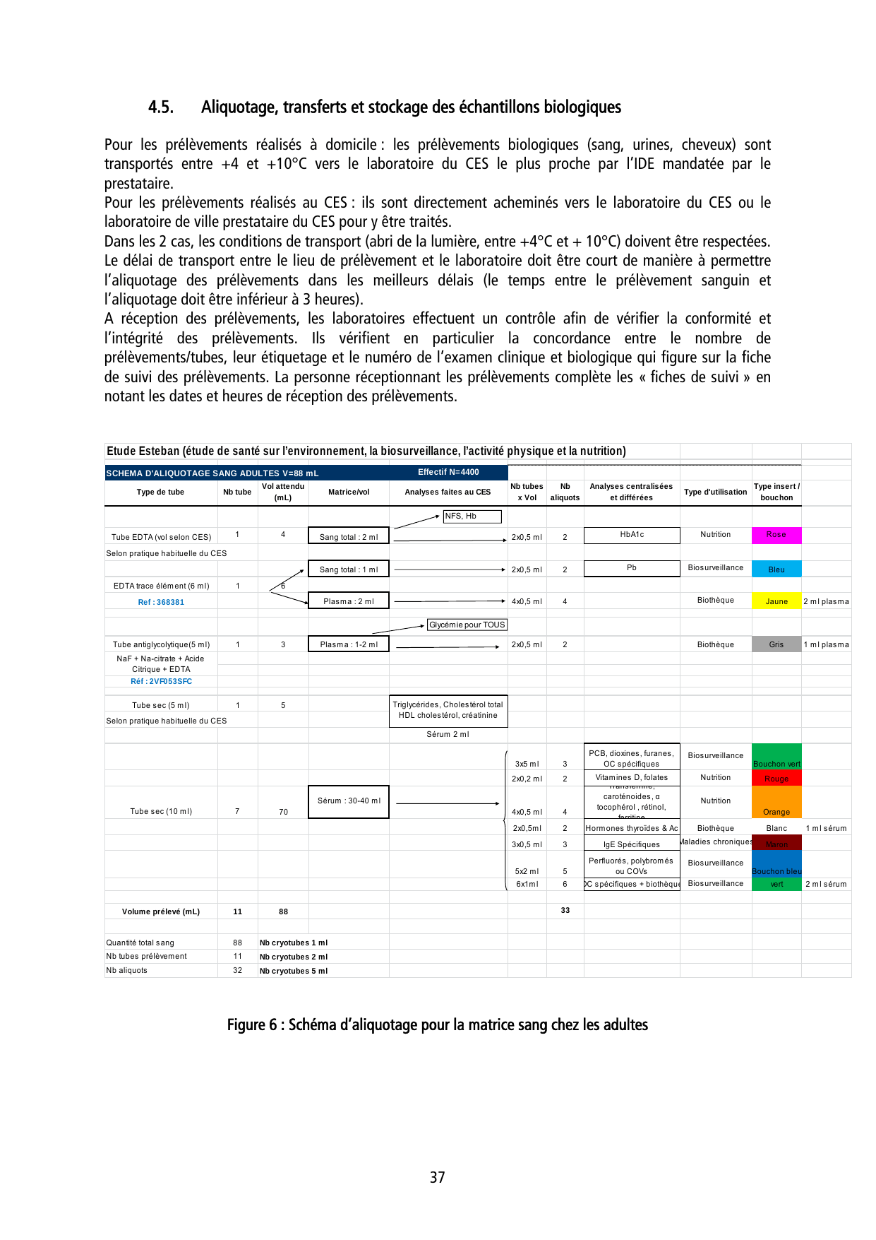 ESTEBAN-PROTOCOLE - Page 37