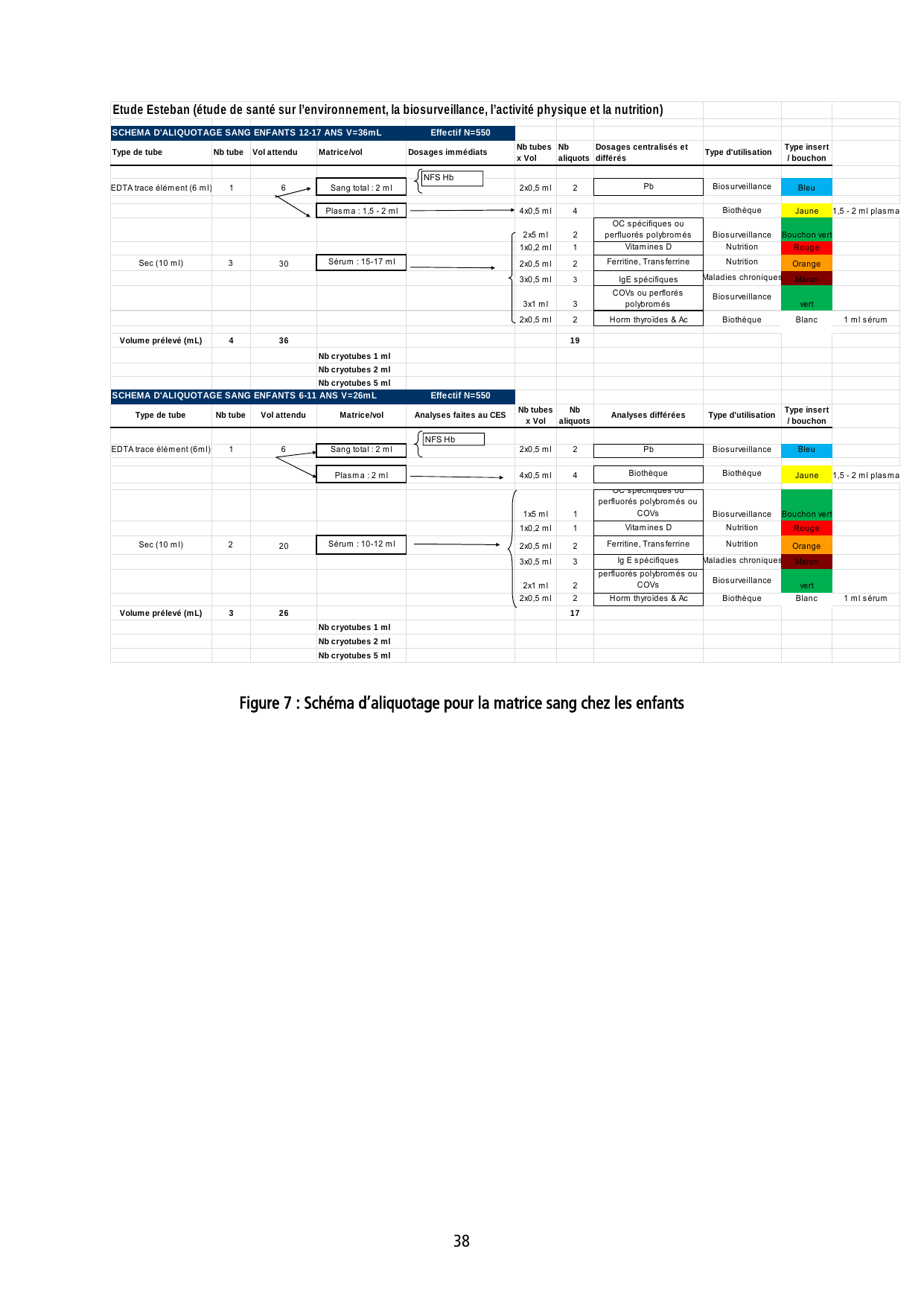 ESTEBAN-PROTOCOLE - Page 38