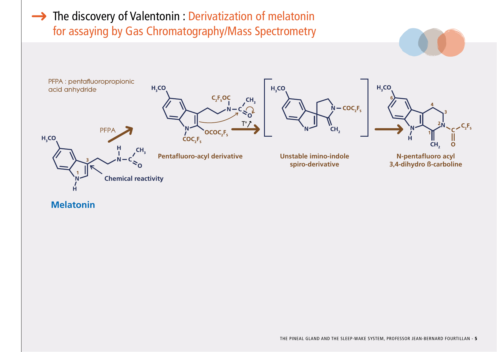 La_glande_pinéale-Systeme_veille_sommeil_CONFERENCE_ANGLAIS - Page 13