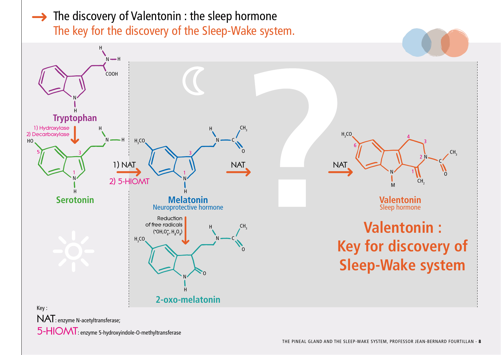 La_glande_pinéale-Systeme_veille_sommeil_CONFERENCE_ANGLAIS - Page 19