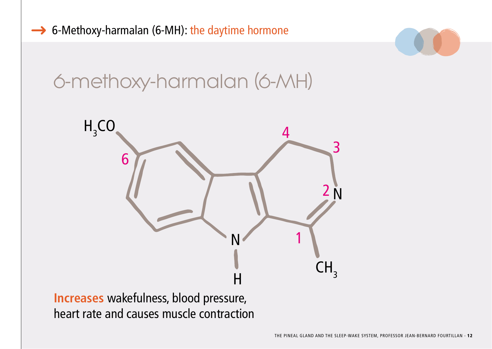 La_glande_pinéale-Systeme_veille_sommeil_CONFERENCE_ANGLAIS - Page 27