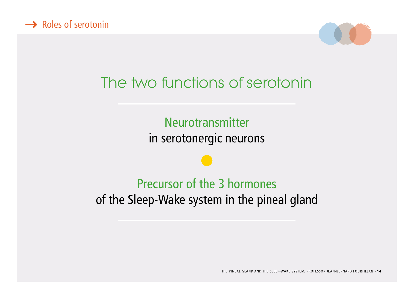 La_glande_pinéale-Systeme_veille_sommeil_CONFERENCE_ANGLAIS - Page 31