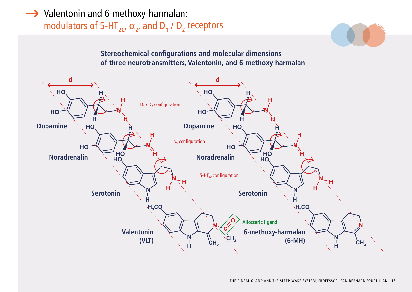 La_glande_pinéale-Systeme_veille_sommeil_CONFERENCE_ANGLAIS - Page 35