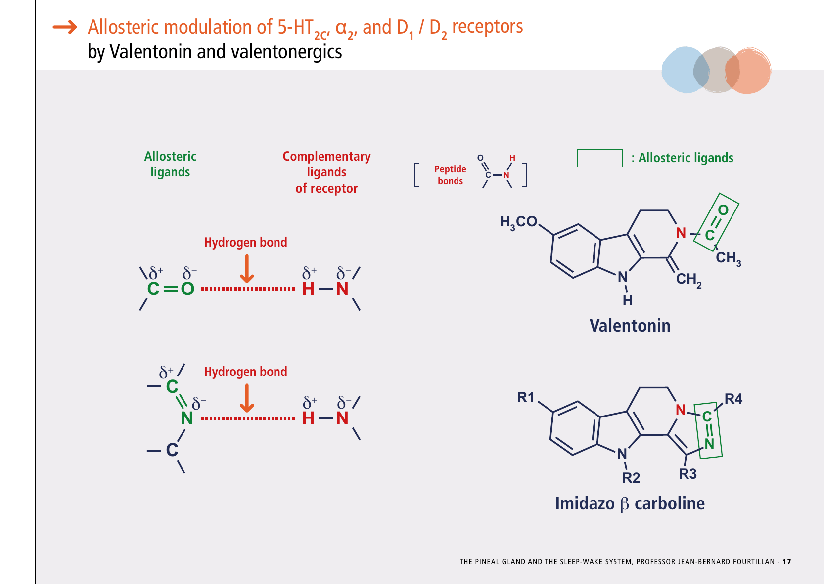 La_glande_pinéale-Systeme_veille_sommeil_CONFERENCE_ANGLAIS - Page 37