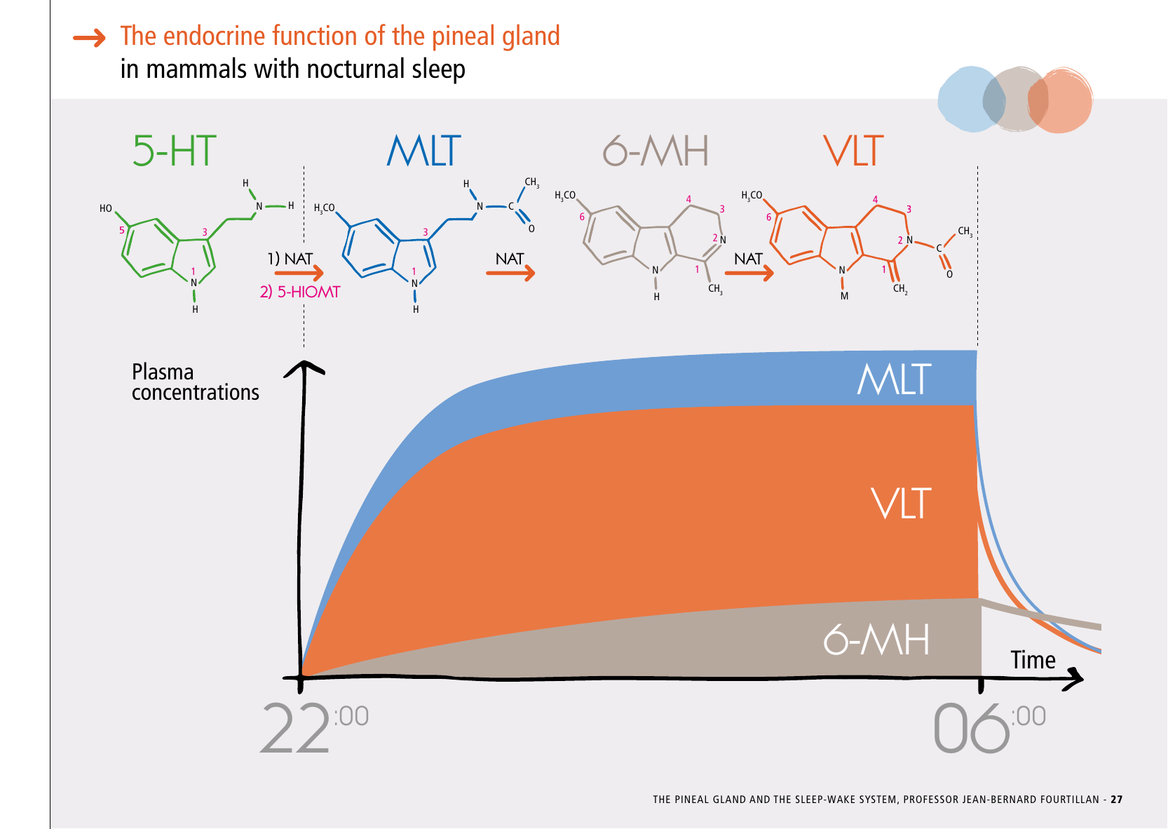 La_glande_pinéale-Systeme_veille_sommeil_CONFERENCE_ANGLAIS - Page 57