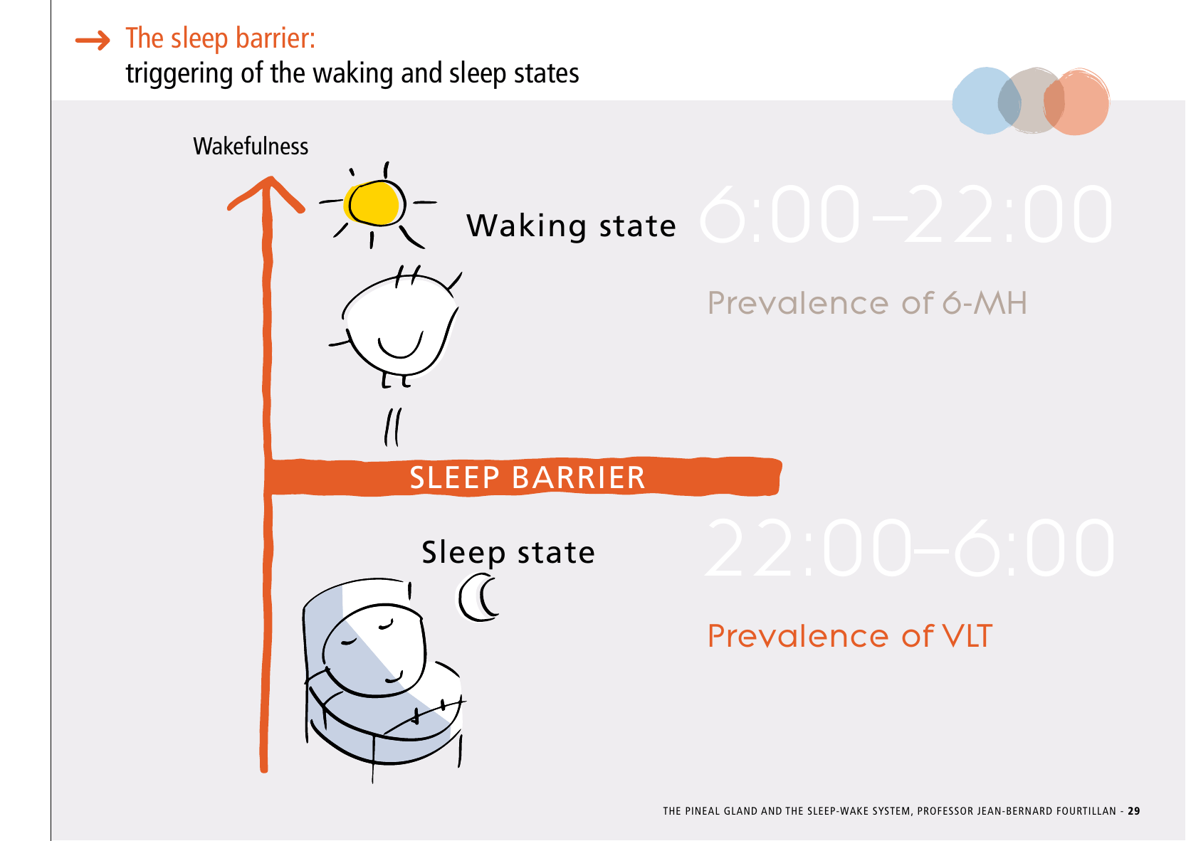 La_glande_pinéale-Systeme_veille_sommeil_CONFERENCE_ANGLAIS - Page 61