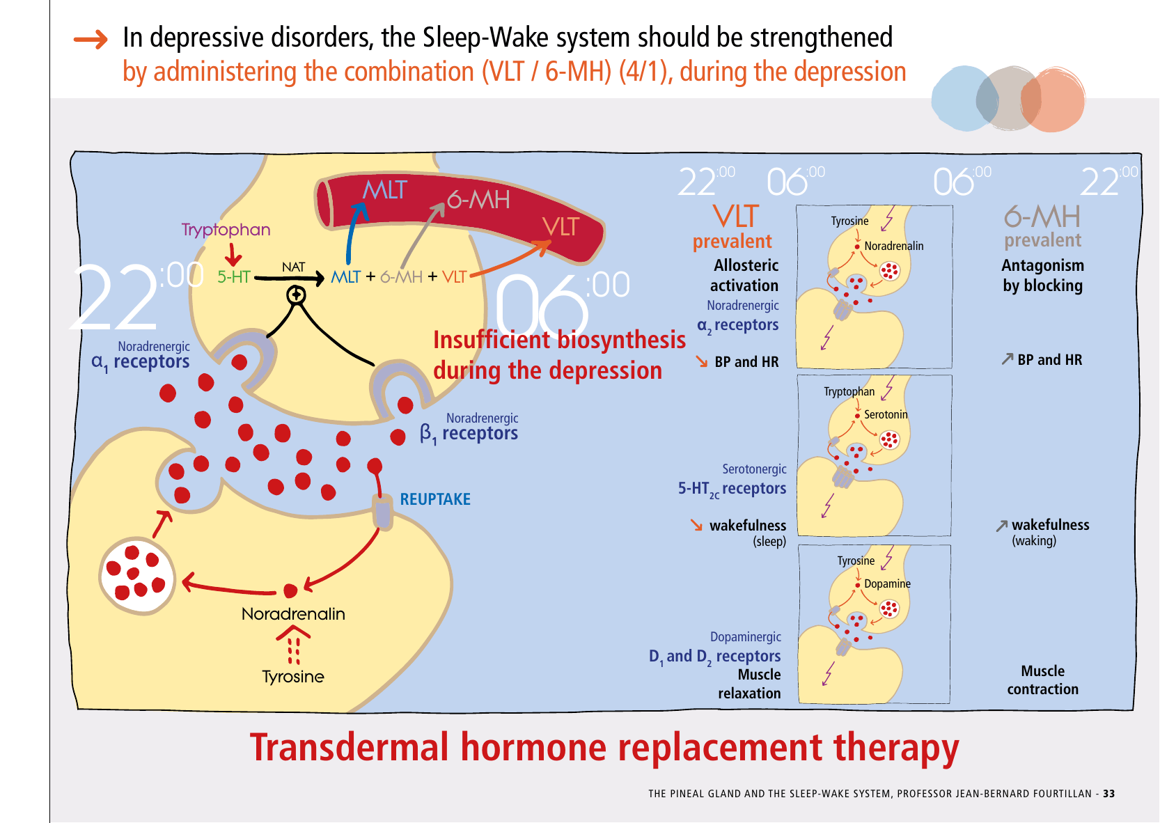 La_glande_pinéale-Systeme_veille_sommeil_CONFERENCE_ANGLAIS - Page 69