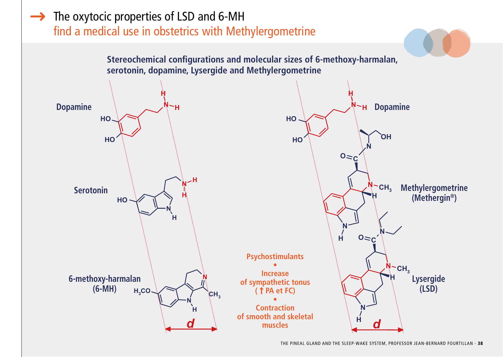 La_glande_pinéale-Systeme_veille_sommeil_CONFERENCE_ANGLAIS - Page 81