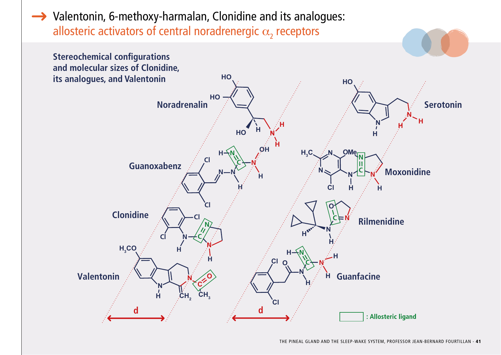 La_glande_pinéale-Systeme_veille_sommeil_CONFERENCE_ANGLAIS - Page 87