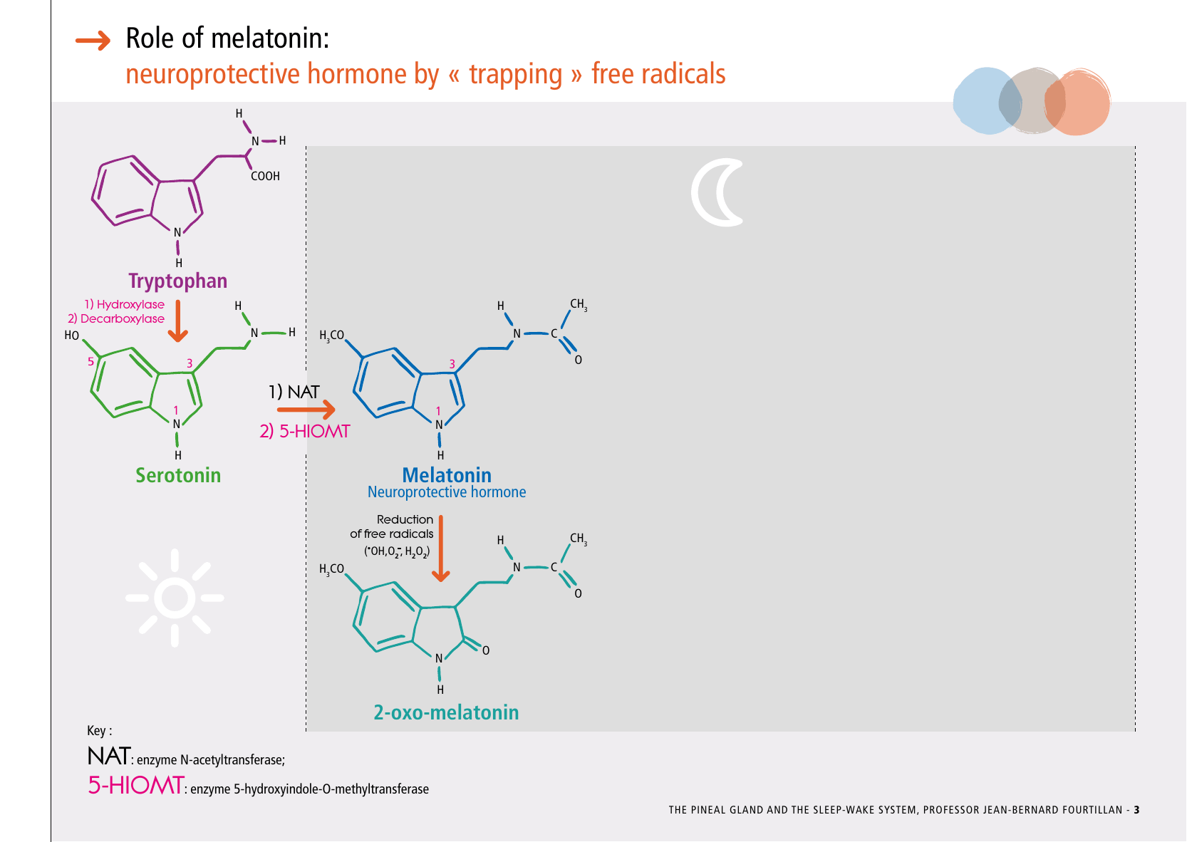 La_glande_pinéale-Systeme_veille_sommeil_CONFERENCE_ANGLAIS - Page 9