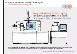 La_glande_pinéale-Systeme_veille_sommeil_CONFERENCE_ANGLAIS - Vignette Page 11
