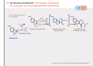 La_glande_pinéale-Systeme_veille_sommeil_CONFERENCE_ANGLAIS - Vignette Page 13