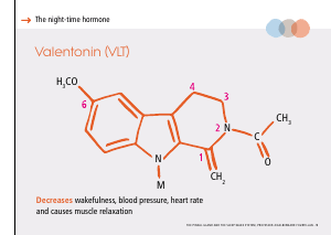 La_glande_pinéale-Systeme_veille_sommeil_CONFERENCE_ANGLAIS - Vignette Page 21