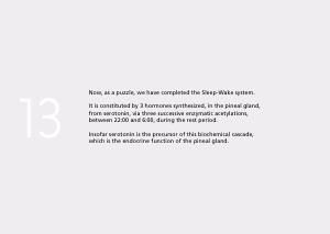La_glande_pinéale-Systeme_veille_sommeil_CONFERENCE_ANGLAIS - Vignette Page 28