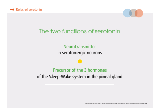 La_glande_pinéale-Systeme_veille_sommeil_CONFERENCE_ANGLAIS - Vignette Page 31