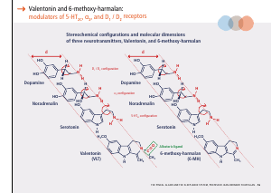 La_glande_pinéale-Systeme_veille_sommeil_CONFERENCE_ANGLAIS - Vignette Page 35