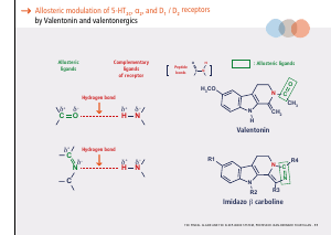 La_glande_pinéale-Systeme_veille_sommeil_CONFERENCE_ANGLAIS - Vignette Page 37