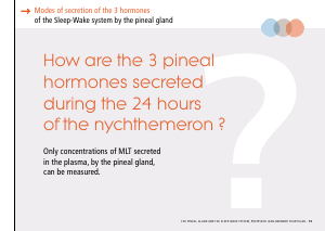 La_glande_pinéale-Systeme_veille_sommeil_CONFERENCE_ANGLAIS - Vignette Page 41