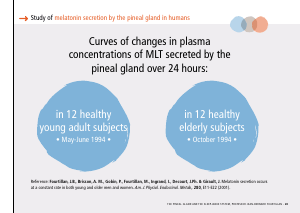 La_glande_pinéale-Systeme_veille_sommeil_CONFERENCE_ANGLAIS - Vignette Page 43