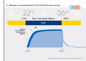 La_glande_pinéale-Systeme_veille_sommeil_CONFERENCE_ANGLAIS - Vignette Page 47