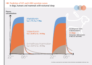 La_glande_pinéale-Systeme_veille_sommeil_CONFERENCE_ANGLAIS - Vignette Page 55