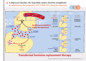 La_glande_pinéale-Systeme_veille_sommeil_CONFERENCE_ANGLAIS - Vignette Page 69