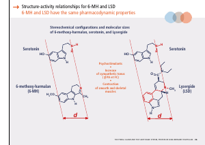 La_glande_pinéale-Systeme_veille_sommeil_CONFERENCE_ANGLAIS - Vignette Page 77