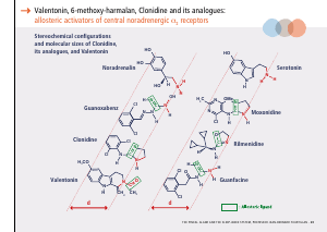 La_glande_pinéale-Systeme_veille_sommeil_CONFERENCE_ANGLAIS - Vignette Page 87