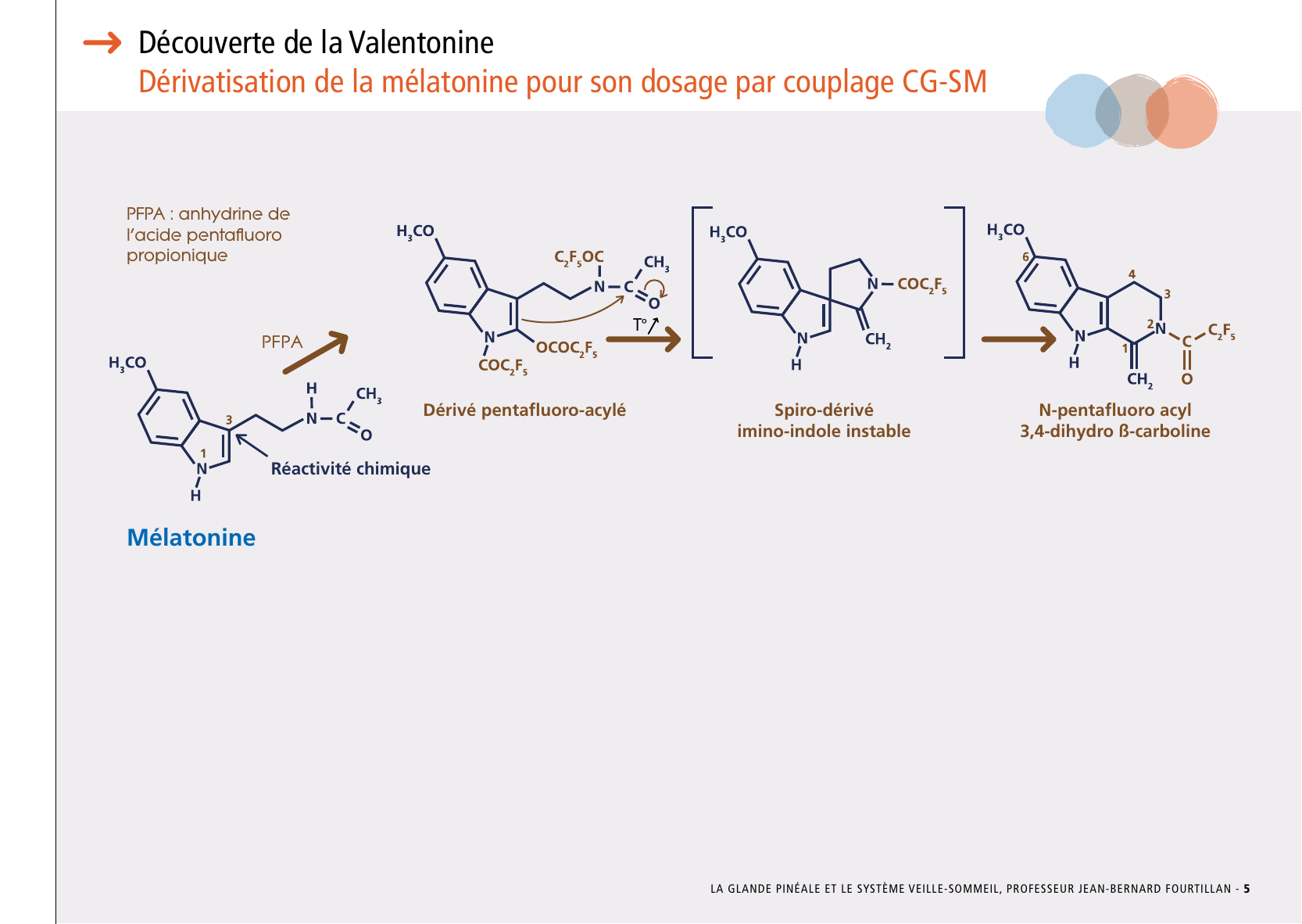 La_glande_pinéale-Systeme_veille_sommeil_CONFERENCE_FRANCAIS - Page 13