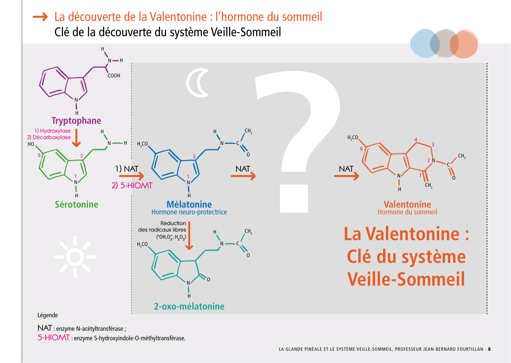 La_glande_pinéale-Systeme_veille_sommeil_CONFERENCE_FRANCAIS - Page 19
