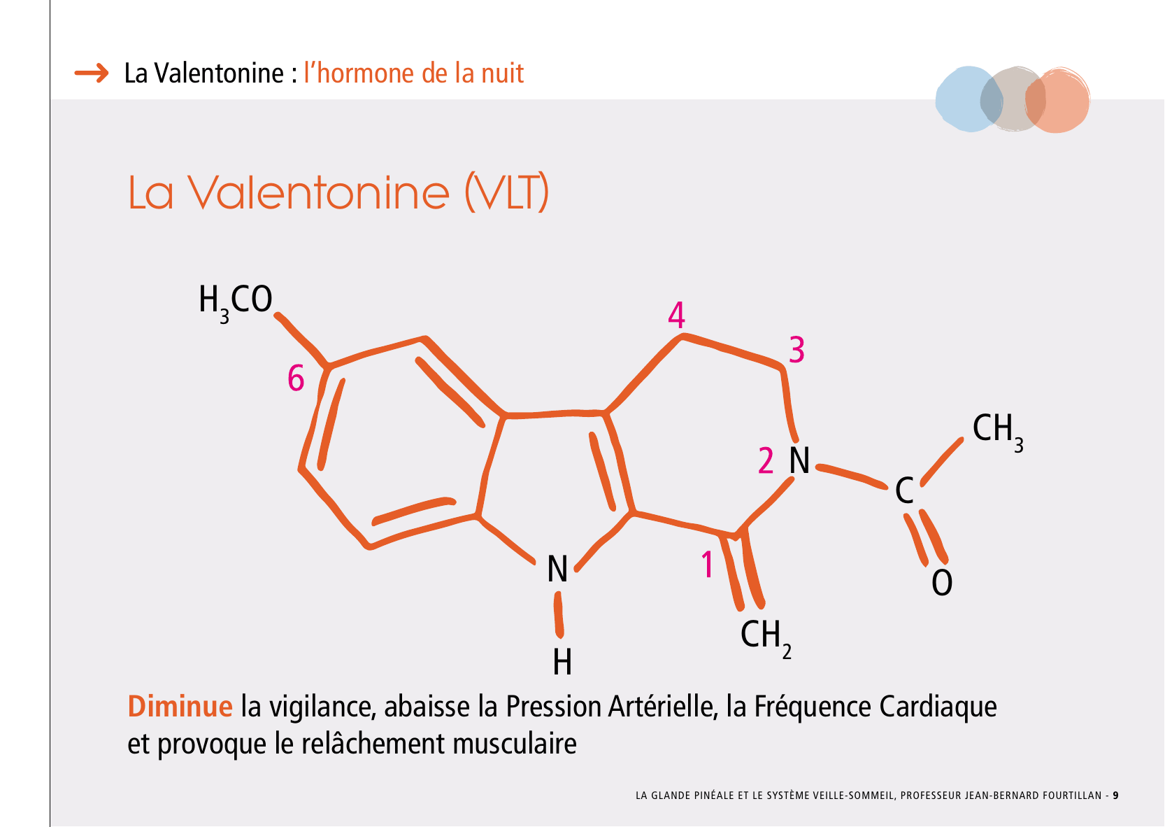 La_glande_pinéale-Systeme_veille_sommeil_CONFERENCE_FRANCAIS - Page 21