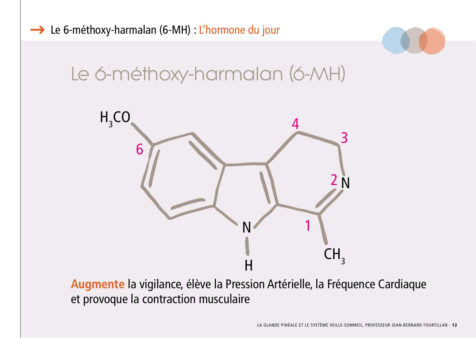 La_glande_pinéale-Systeme_veille_sommeil_CONFERENCE_FRANCAIS - Page 27