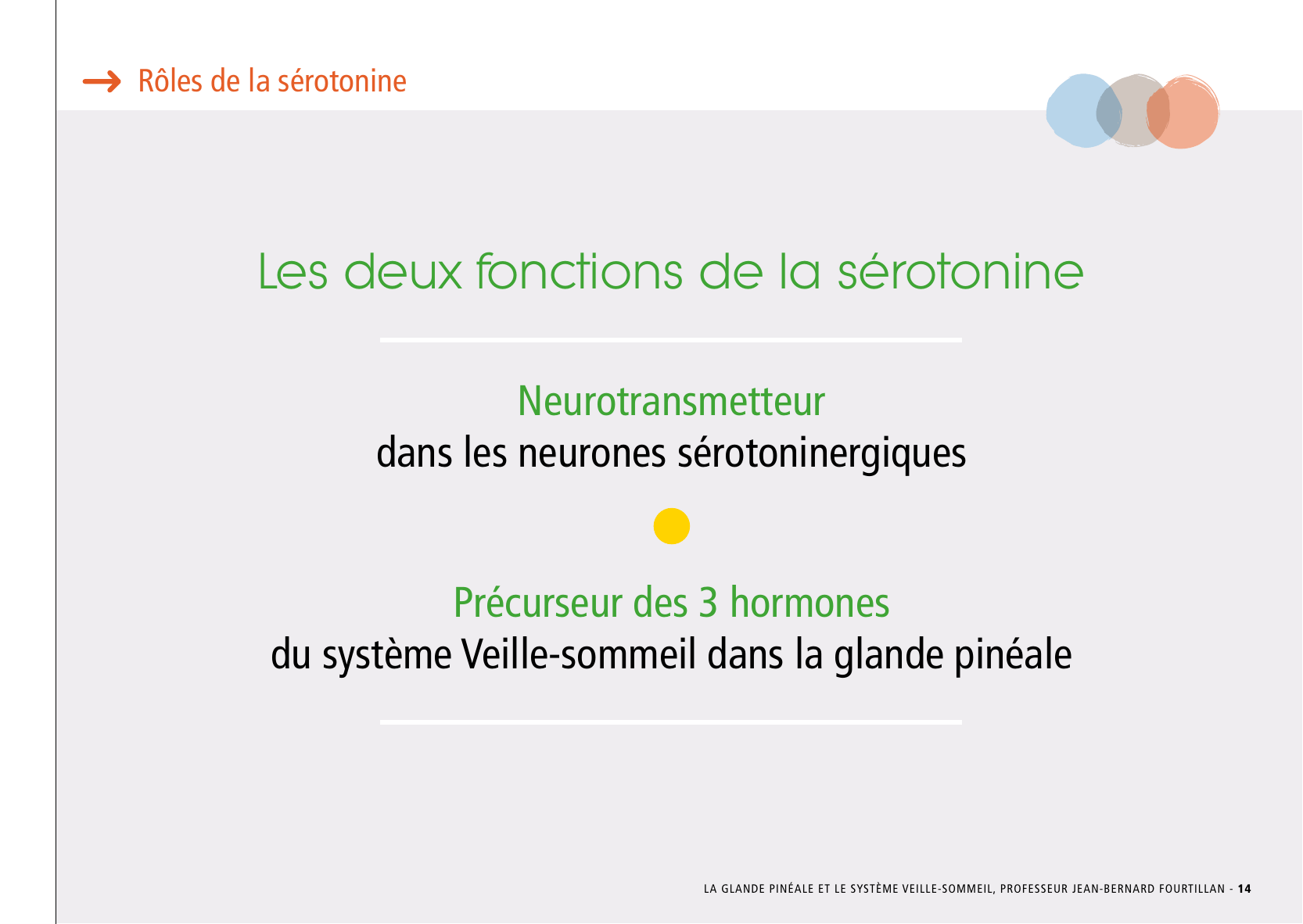 La_glande_pinéale-Systeme_veille_sommeil_CONFERENCE_FRANCAIS - Page 31