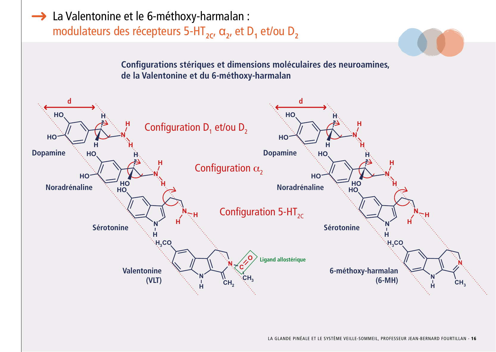 La_glande_pinéale-Systeme_veille_sommeil_CONFERENCE_FRANCAIS - Page 35