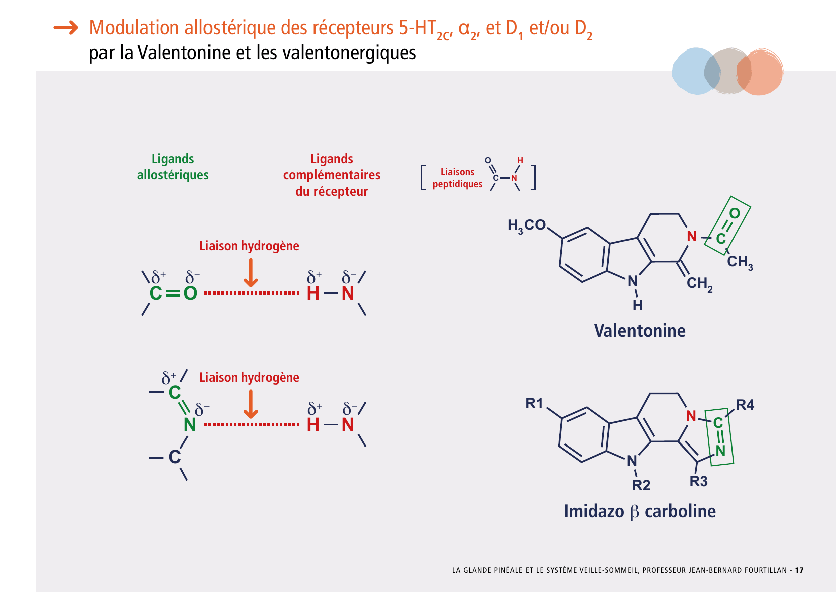 La_glande_pinéale-Systeme_veille_sommeil_CONFERENCE_FRANCAIS - Page 37