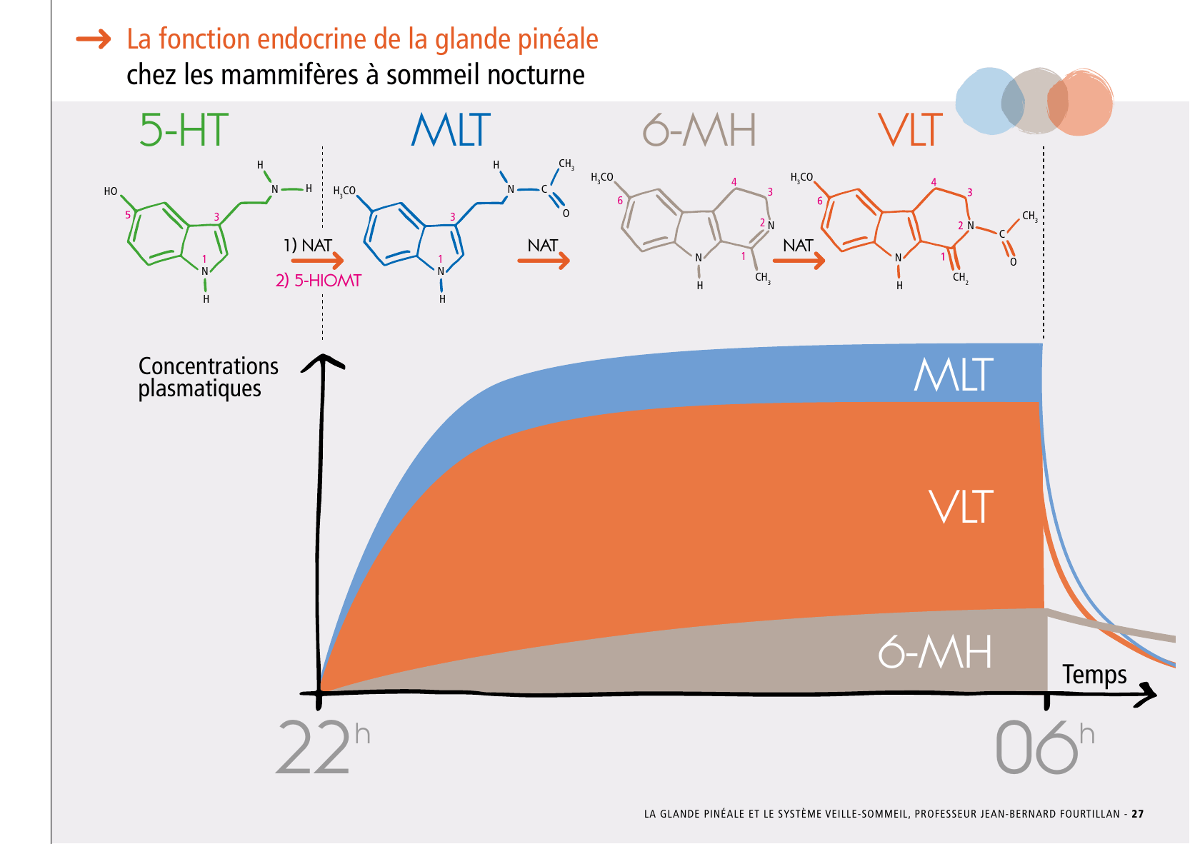 La_glande_pinéale-Systeme_veille_sommeil_CONFERENCE_FRANCAIS - Page 57