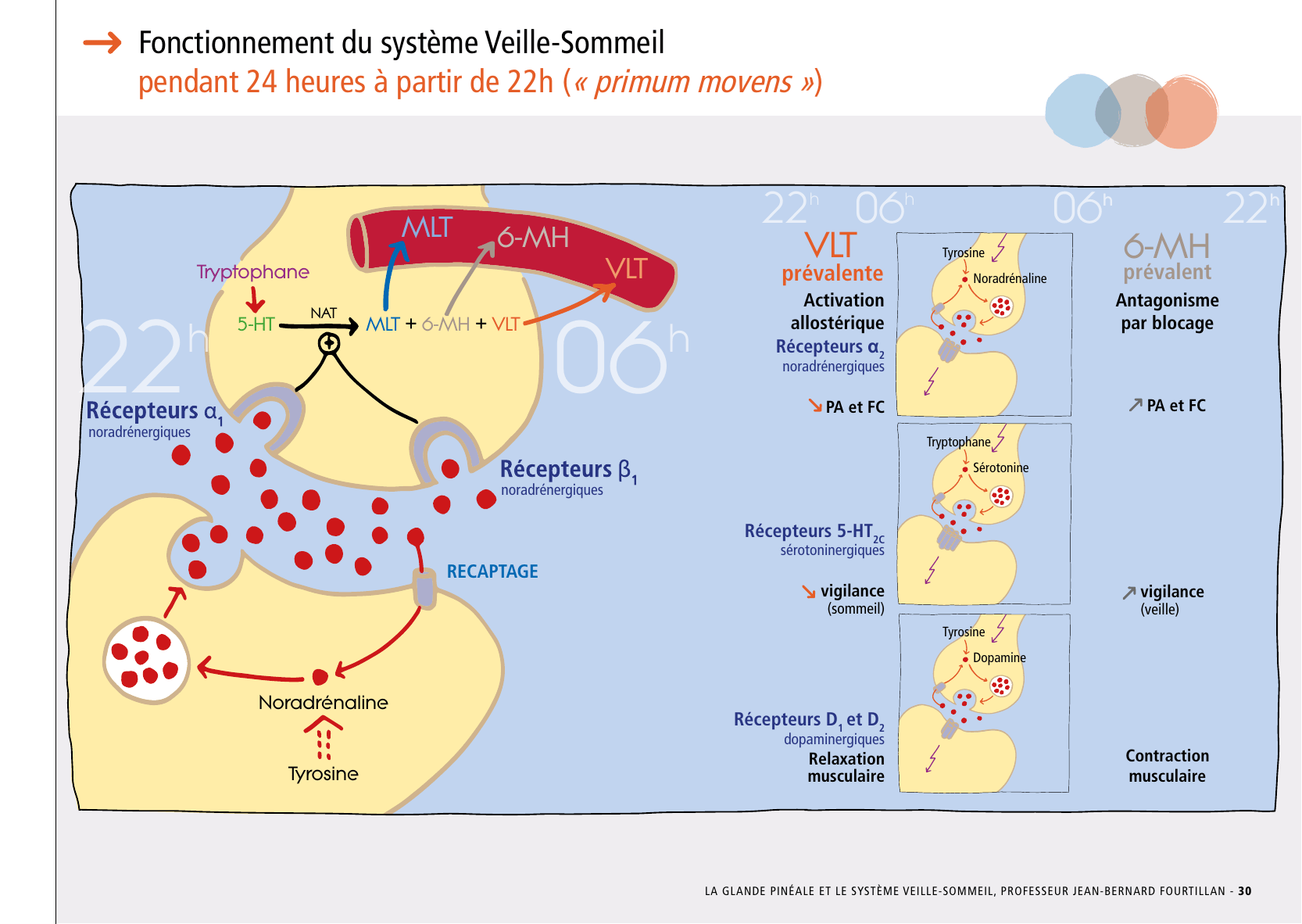La_glande_pinéale-Systeme_veille_sommeil_CONFERENCE_FRANCAIS - Page 63
