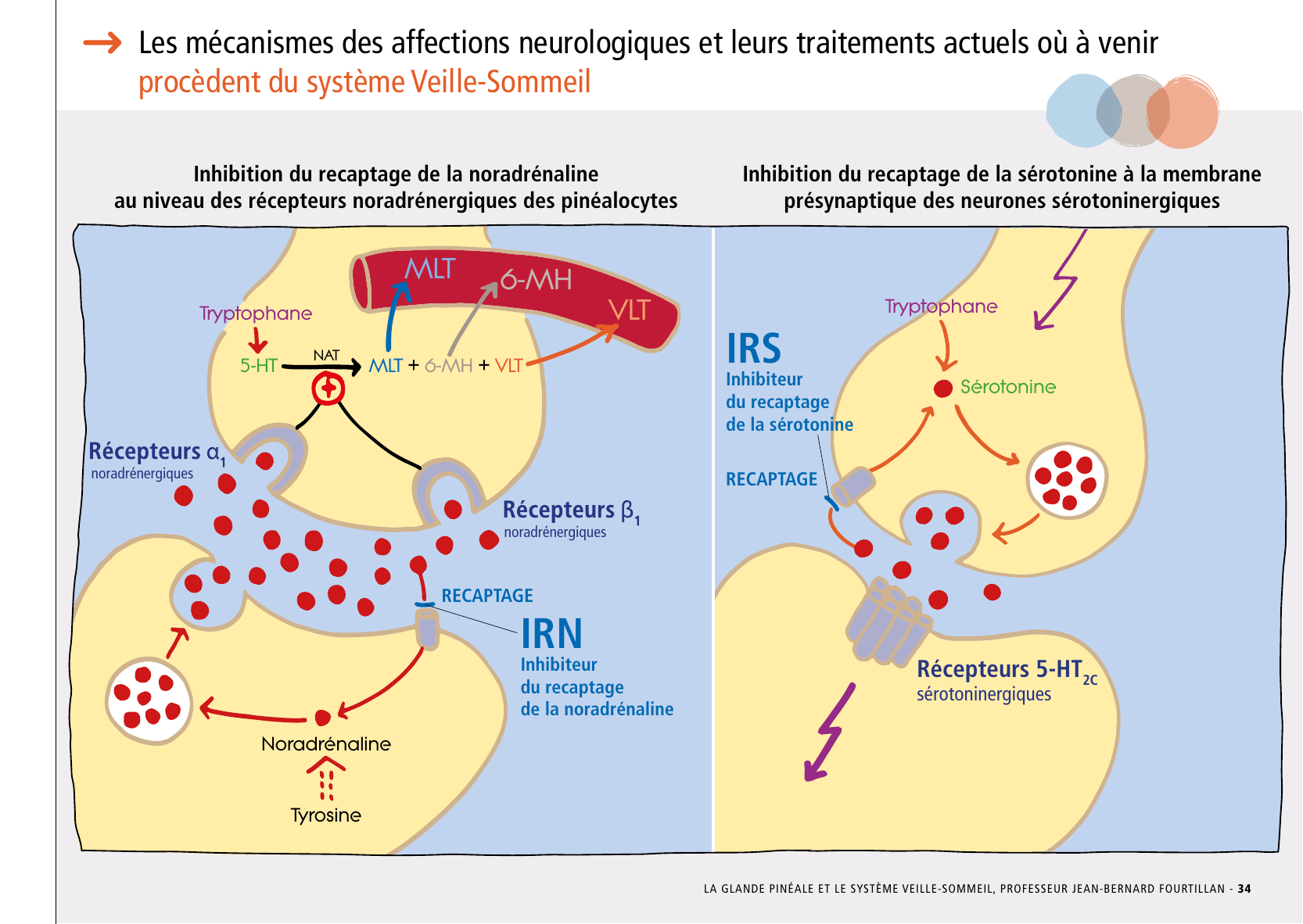 La_glande_pinéale-Systeme_veille_sommeil_CONFERENCE_FRANCAIS - Page 71