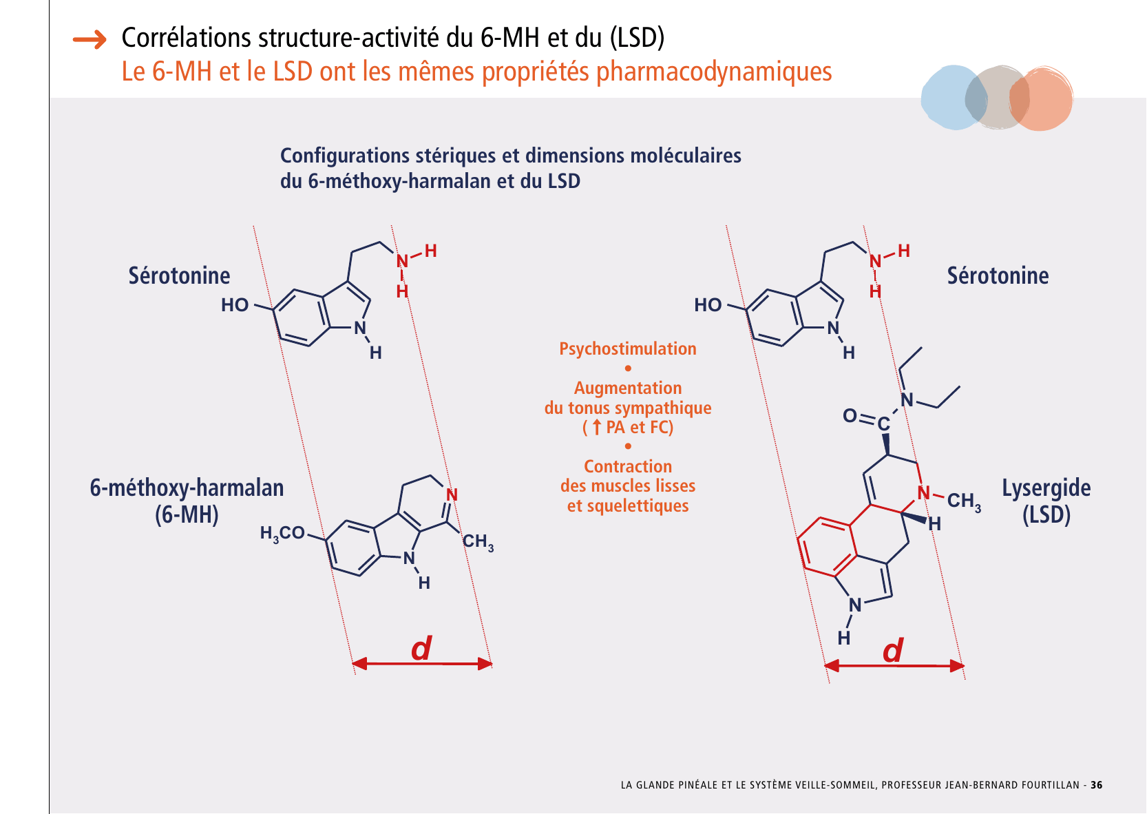 La_glande_pinéale-Systeme_veille_sommeil_CONFERENCE_FRANCAIS - Page 77