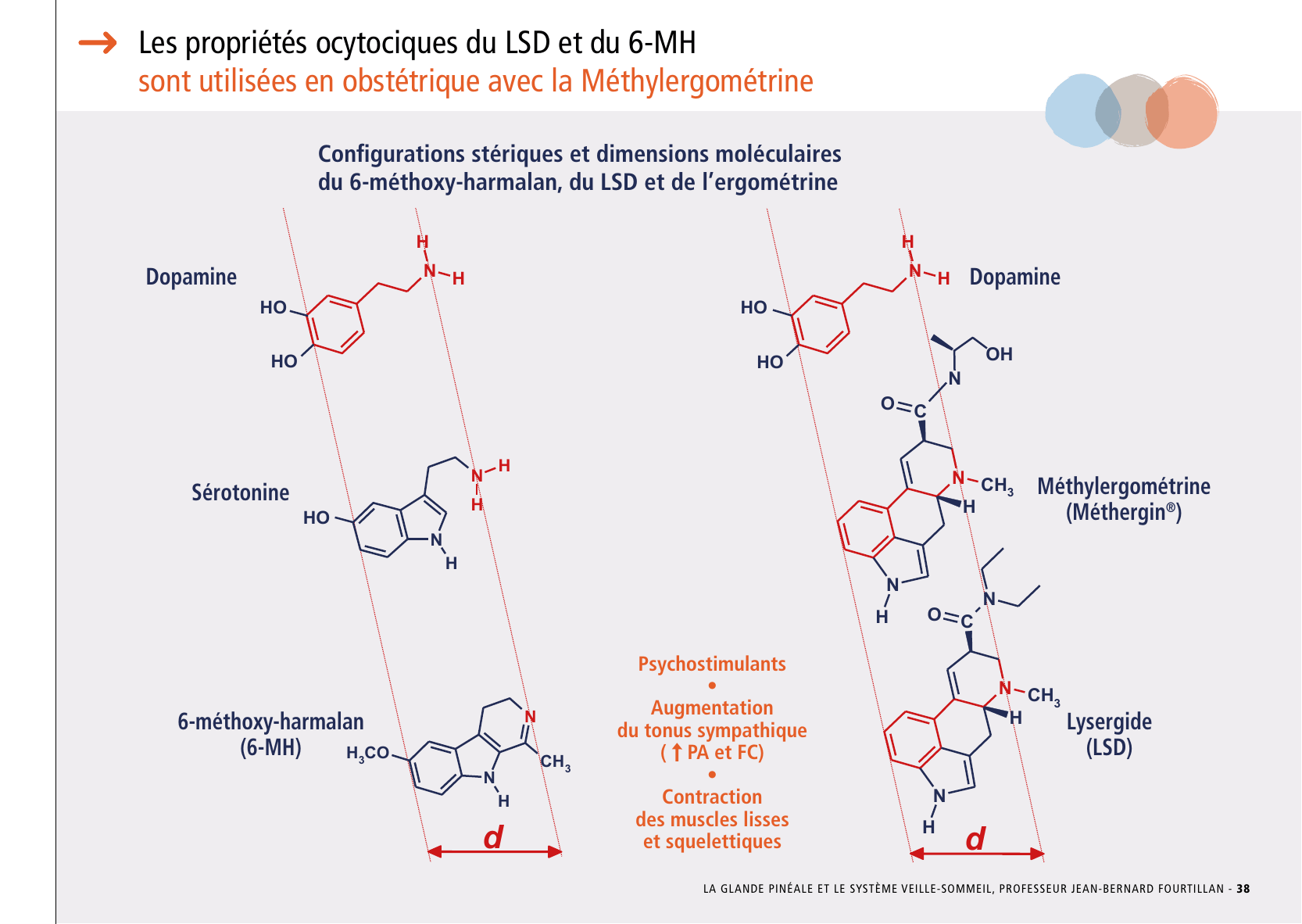 La_glande_pinéale-Systeme_veille_sommeil_CONFERENCE_FRANCAIS - Page 81