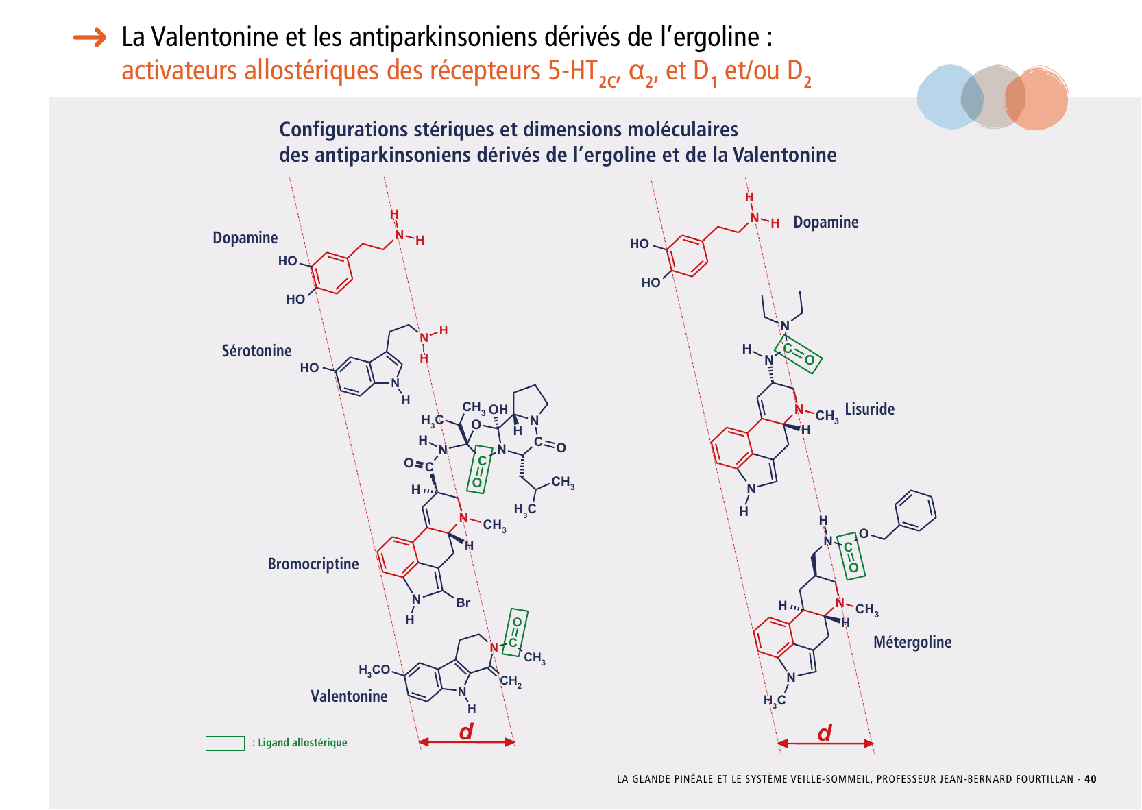 La_glande_pinéale-Systeme_veille_sommeil_CONFERENCE_FRANCAIS - Page 85