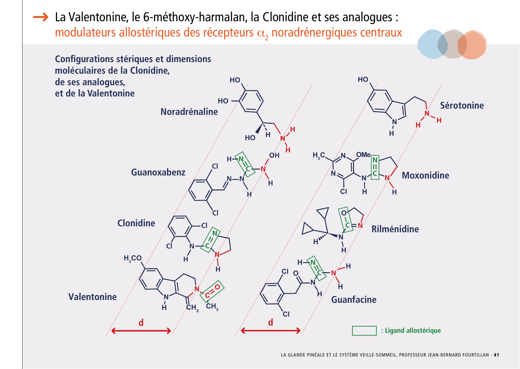 La_glande_pinéale-Systeme_veille_sommeil_CONFERENCE_FRANCAIS - Page 87