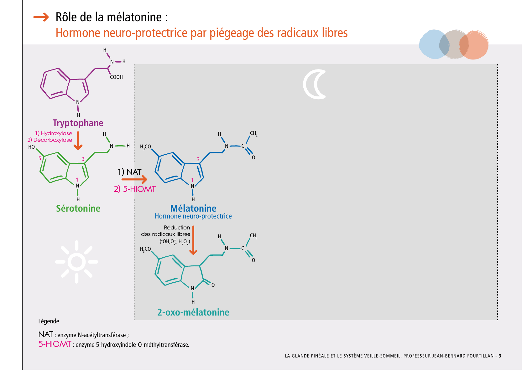 La_glande_pinéale-Systeme_veille_sommeil_CONFERENCE_FRANCAIS - Page 9
