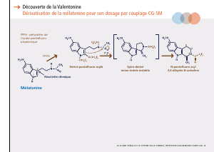 La_glande_pinéale-Systeme_veille_sommeil_CONFERENCE_FRANCAIS - Vignette Page 13