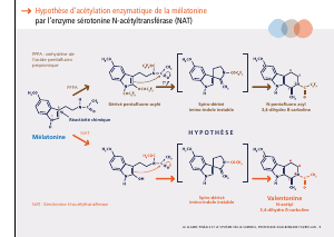 La_glande_pinéale-Systeme_veille_sommeil_CONFERENCE_FRANCAIS - Vignette Page 17