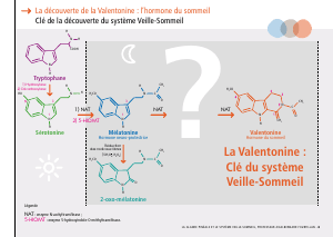 La_glande_pinéale-Systeme_veille_sommeil_CONFERENCE_FRANCAIS - Vignette Page 19