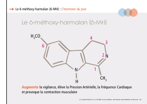 La_glande_pinéale-Systeme_veille_sommeil_CONFERENCE_FRANCAIS - Vignette Page 27